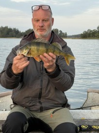 Abborre, 650g, Thomas  Clerwall, 2025-09-20, Nynäshamn , fiskemetod: Spinnfiske