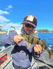 Abborre, 250g, George Boije Hammarsson, 2026-05-17, Nynashamn, fiskemetod: Spinnfiske