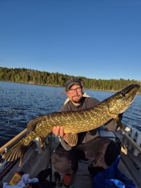 Gädda, 7050g, Hans Sandberg, 2026-05-20, Nynäshamn , fiskemetod: Spinnfiske