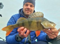Abborre, 1270g, Patrik Nordin, 2026-05-26, Nynäshamn, fiskemetod: Spinnfiske