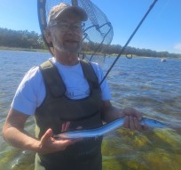 Näbbgädda, 390g, Thomas Lysell, 2026-05-31, Torsås , fiskemetod: Spinnfiske