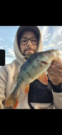 Abborre, 490g, Hans Sandberg, 2026-06-01, Nynäshamn , fiskemetod: Spinnfiske