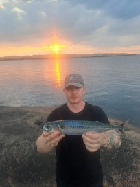 Makrill, 520g, Peter Nilsson, 2026-06-19, Sotenäs , fiskemetod: Spinnfiske