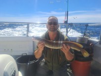 Långa, 1430g, Thomas Lysell, 2026-06-21, Varberg , fiskemetod: Bottenmete