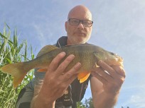 Abborre, 1000g, Thomas  Clerwall, 2026-07-01, Nynäshamn , fiskemetod: Spinnfiske
