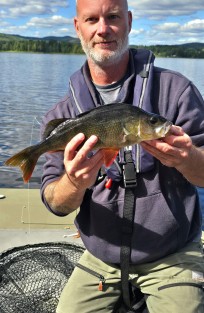 Abborre, 740g, Thomas  Clerwall, 2026-07-23, Härnösand , fiskemetod: Spinnfiske