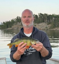 Abborre, 560g, Thomas  Clerwall, 2026-08-04, Nynäshamn , fiskemetod: Spinnfiske