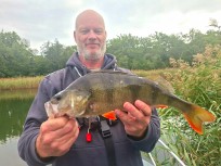 Abborre, 990g, Thomas  Clerwall, 2026-09-12, Nynäshamn , fiskemetod: Spinnfiske