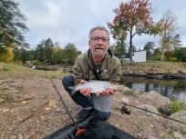 Vimma, 555g, Thomas Lysell, 2026-10-03, Älvkarleby , fiskemetod: Bottenmete