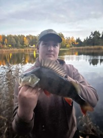 Abborre, 1035g, Leo Irenheim, 2026-10-17, haninge, fiskemetod: Spinnfiske