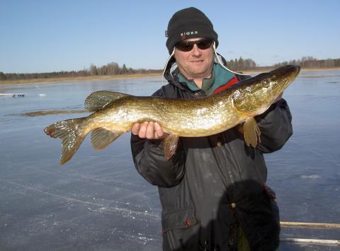 Gädda, 4160g, Lars-Göran Gelinder, 2012-03-03, österbybruk