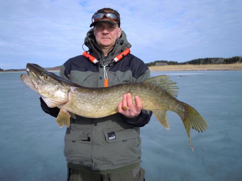 Gädda, 5280g, Anders Persson, 2012-03-11, Uppsala