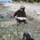 Havsöring, 2850g, Jerry Karlsson, 2020-04-17, Gotland, fiskemetod: Spinnfiske