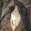 Björkna, 545g, Thomas Lysell, 2025-08-09, Älvkarleby , fiskemetod: Bottenmete