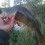 Abborre, 650g, Thomas Lysell, 2025-08-17, Kalmar, fiskemetod: Bottenmete